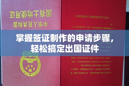 青山湖掌握签证制作的申请步骤，轻松搞定出国证件