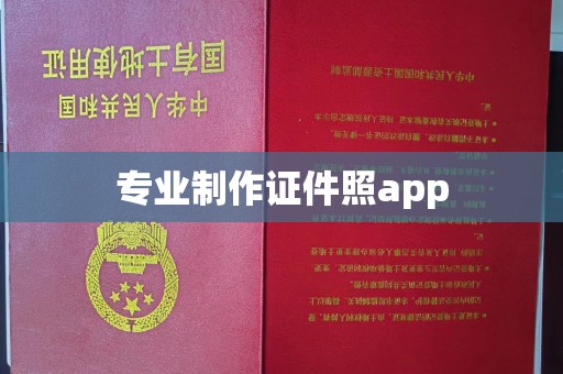 青山湖专业制作证件照app